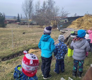 Ve stáji u koníků
