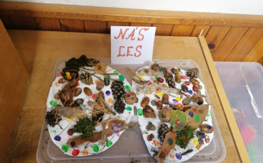 Náš les