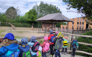 Výlet do ZOO Dvůr Králové – den plný zvířecích zážitků!