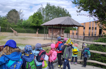 Výlet do ZOO Dvůr Králové – den plný zvířecích zážitků!